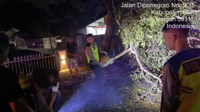 Kapolresta Turun langsung, Respons Cepat Pohon Trembesi Tumbang, Arus Lalu Lintas di Jalan Diponegoro Kembali Normal
