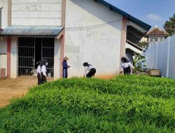 Sejengkal Lahan, Segenggam Harapan: Panen Kangkung Lapas Pati Dukung Ketahanan Pangan