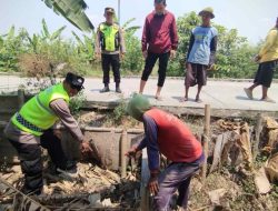 Bayi Laki-laki Ditemukan Hidup di Kebun Pisang Tepi Jalan di Jati Kudus, Polisi Lakukan Penyelidikan