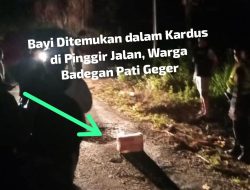 Bayi Ditemukan dalam Kardus di Pinggir Jalan, Warga Badegan Pati Geger